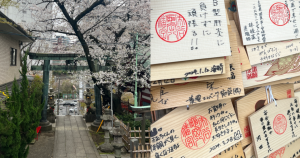 日本、市谷亀岡八幡宮、寵物神社