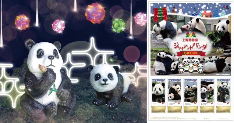 上野動物園、熊貓、聖誕活動